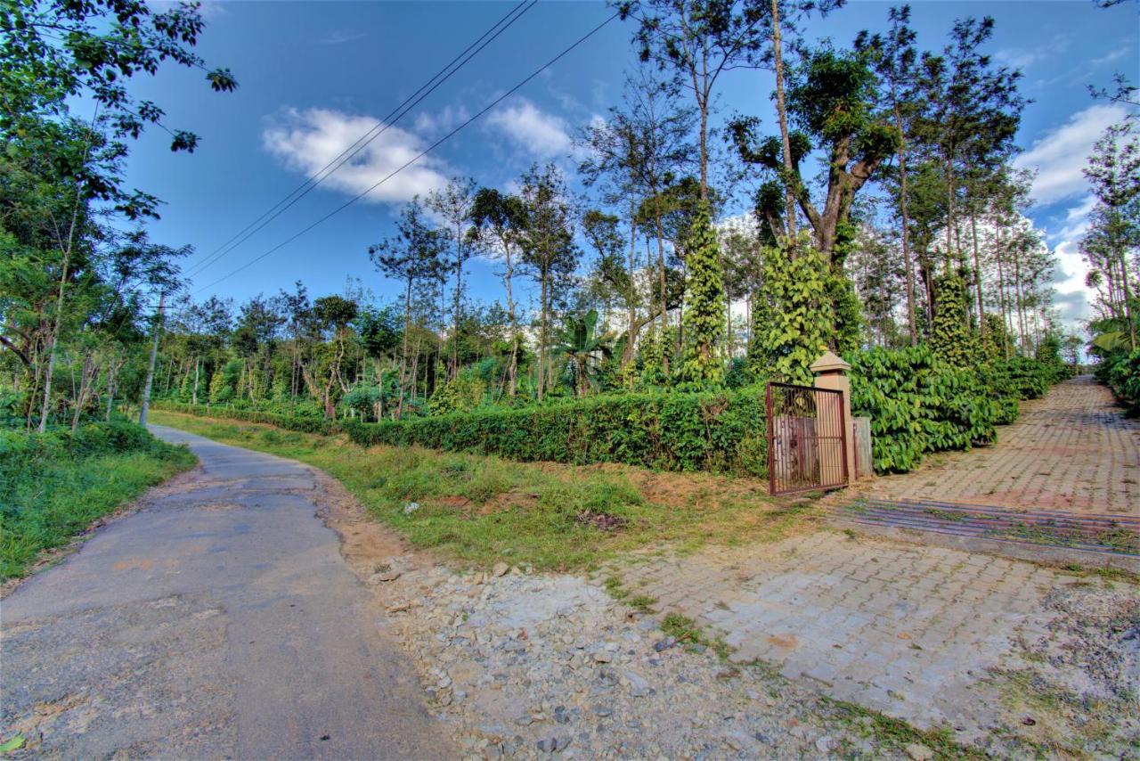 Farm stay Coorg Bliss Estate