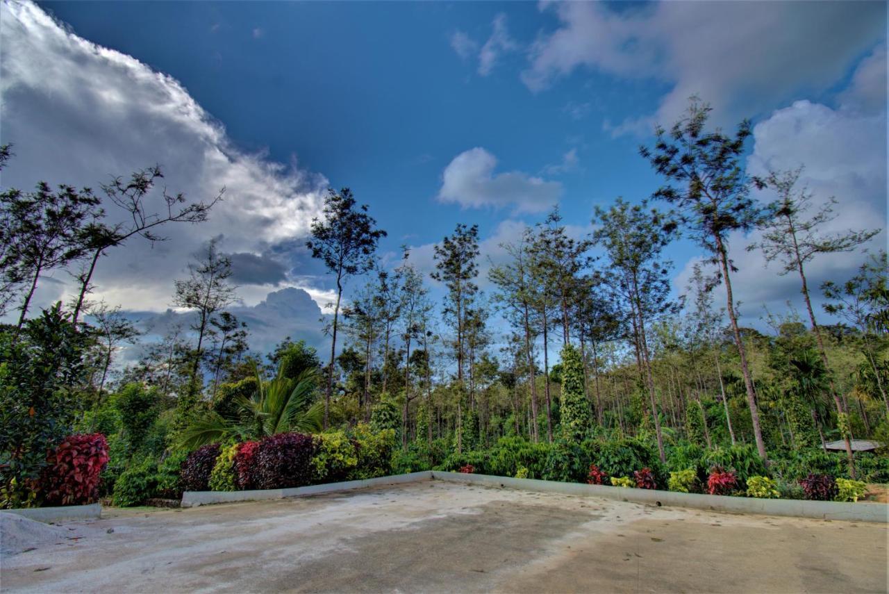 Farm stay Coorg Bliss Estate *